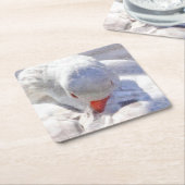 White Duck Preening Art Kartonnen Onderzetters (Schuin)