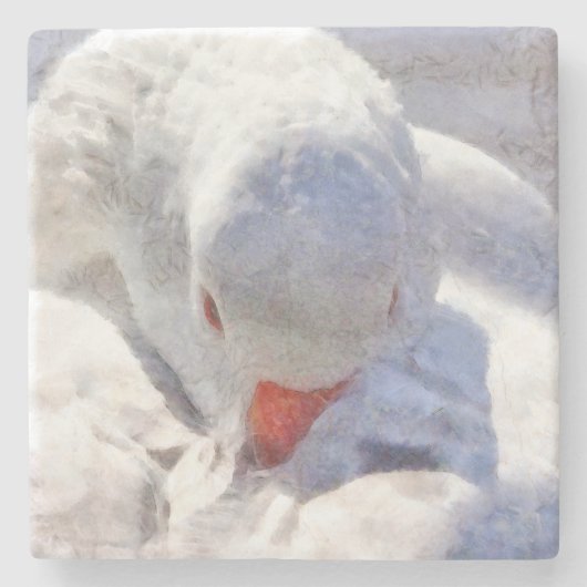 White Duck Preening Art Stenen Onderzetter (Voorkant)