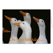 White Ducks Funny Birthday Kaart (Voorkant Horizontaal)