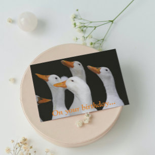 White Ducks Funny Birthday Kaart