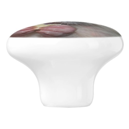 White Dumbo Rat Dresser Knob Keramische Knop (Zijkant)