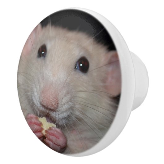 White Dumbo Rat Dresser Knob Keramische Knop (Rechts)