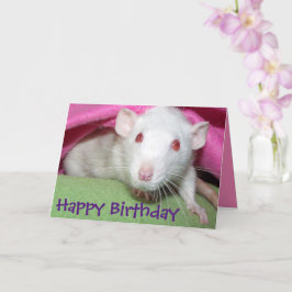 White Dumbo rat verjaardagskaart Kaart