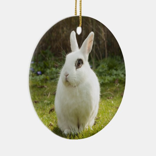 White Dwarf Hotot Bunny Rabbit Keramisch Ornament (Rechts)