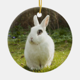 White Dwarf Hotot Bunny Rabbit Keramisch Ornament