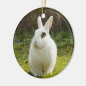 White Dwarf Hotot Bunny Rabbit Keramisch Ornament (Links)