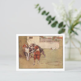 White Ear en Peter briefkaarten