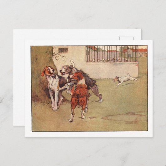 White Ear en Peter briefkaarten (Voorkant / Achterkant)