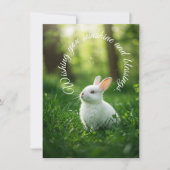 White Easter Bunny Feestdagenkaart (Voorkant)