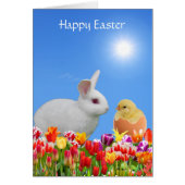 White Easter Bunny, Tulips & Chick on Sky Blue (Voorkant)