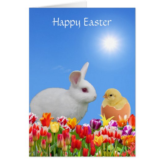 White Easter Bunny, Tulips & Chick on Sky Blue (Voorkant)