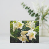  White Easter Lilies Floral Foto Briefkaart (Staand voorkant)