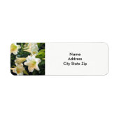 White Easter Lilies Floral Foto Etiket (Voorkant)