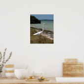 White Egret 2 Poster (Keuken)