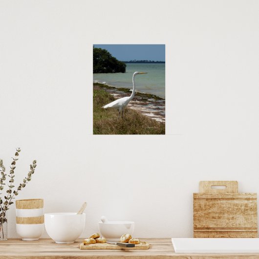 White Egret 2 Poster (Keuken)