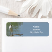 White Egret Photo Birdwatcher Wild Bird Lakeside Etiket (Insitu)