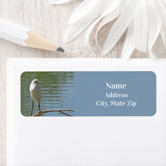 White Egret Photo Birdwatcher Wild Bird Lakeside Etiket (Insitu)