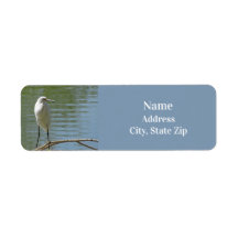White Egret Photo Birdwatcher Wild Bird Lakeside