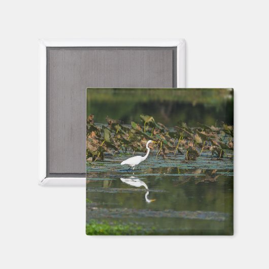 White Egret Reflection Magneet (Voorkant / Achterkant)