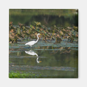 White Egret Reflection Magneet