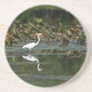 White Egret Reflection Zandsteen Onderzetter