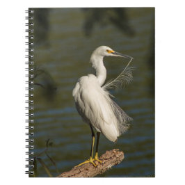 White Egret Spiral Photo Notebook Notitieboek