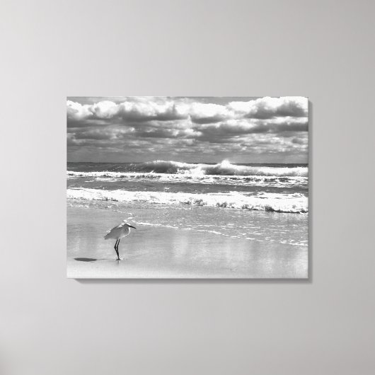 White Egret Stretted Canvas Print (Voorkant)