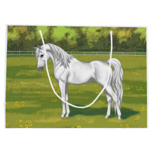 White Egyptian Arabian Horse in Summer Pasture Groot Cadeauzakje