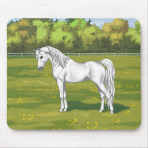 White Egyptian Arabian Horse in Summer Pasture Muismat