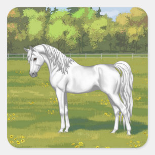 White Egyptian Arabian Horse in Summer Pasture Vierkante Sticker