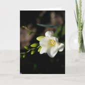 White Elegant Flower Greeting Card Aankondiging (Voorkant)