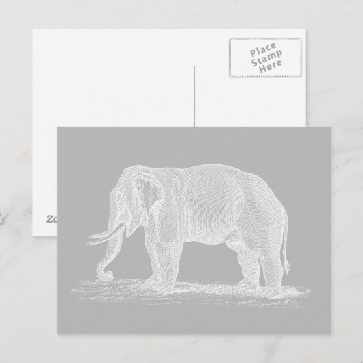 White Elephant 1800s Illustration Briefkaart (Voorkant / Achterkant)
