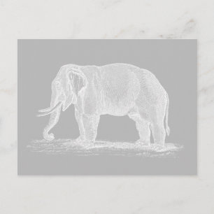 White Elephant  1800s Illustration Briefkaart