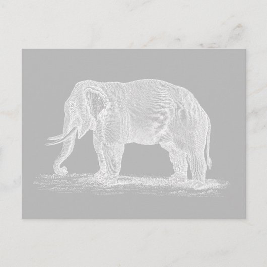 White Elephant  1800s Illustration Briefkaart (Voorkant)