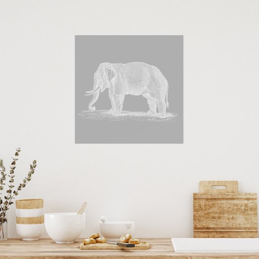 White Elephant  1800s Illustration Poster (Keuken)