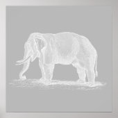 White Elephant  1800s Illustration Poster (Voorkant)