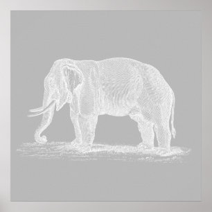 White Elephant  1800s Illustration Poster