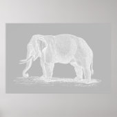 White Elephant  1800s Illustration Poster (Voorkant)