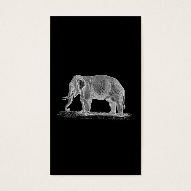White Elephant  1800s Illustration Visitekaartjes (Voorkant)