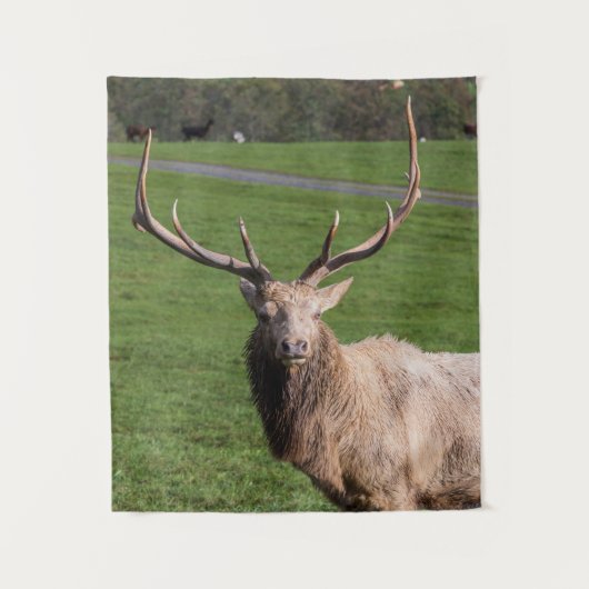 White Elk Tapestry Wandkleed (Voorkant)