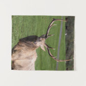 White Elk Tapestry Wandkleed (Voorkant (horizontaal))