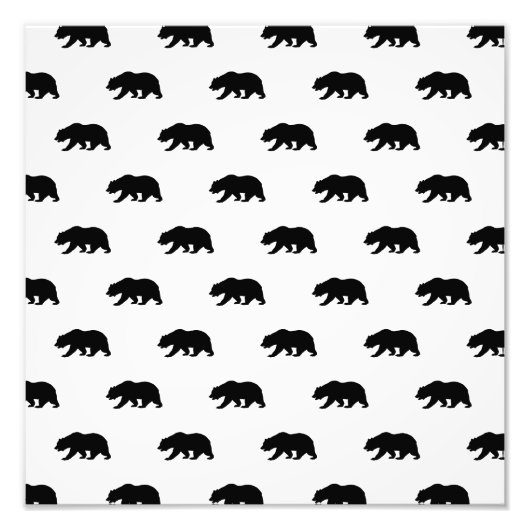 White en Black Grizzly Beer Pattern Foto Afdruk (Voorkant)