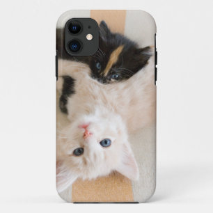 White en Black Kittens iPhone 11 Hoesje