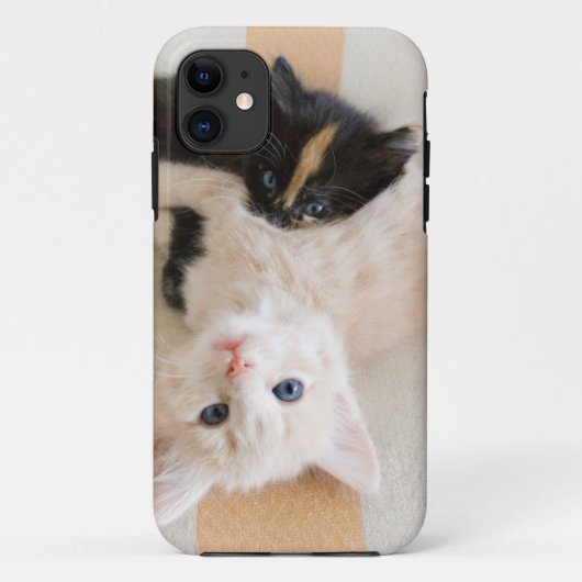 White en Black Kittens Case-Mate iPhone Case (Achterkant)