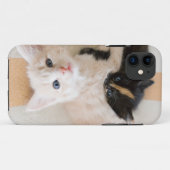 White en Black Kittens Case-Mate iPhone Case (Achterkant (horizontaal))