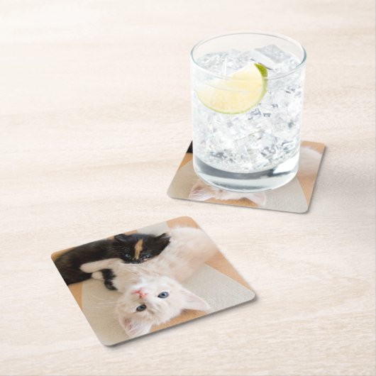 White en Black Kittens Kartonnen Onderzetters (Insitu)