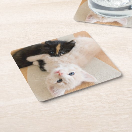 White en Black Kittens Kartonnen Onderzetters (Schuin)