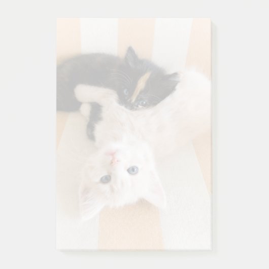 White en Black Kittens Post-it® Notes (Voorkant)