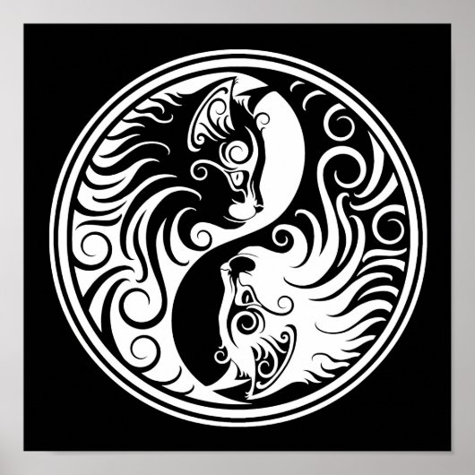 White en Black Yin Yang Cats Poster (Voorkant)