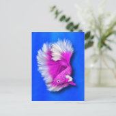 White en Hot Pink Betta Fish Briefkaart (Staand voorkant)